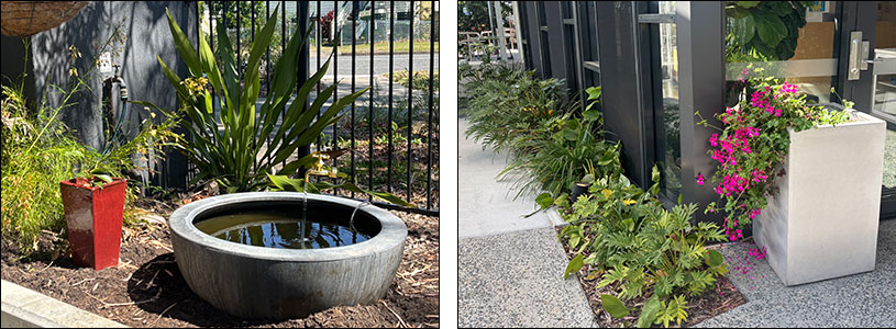 Features of Our Lady of Dolours School