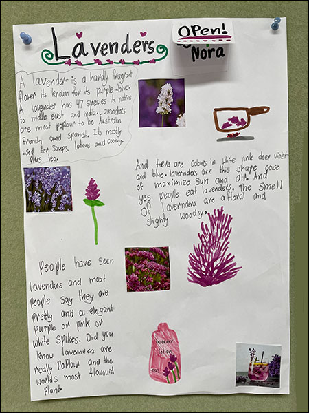 Example of student work